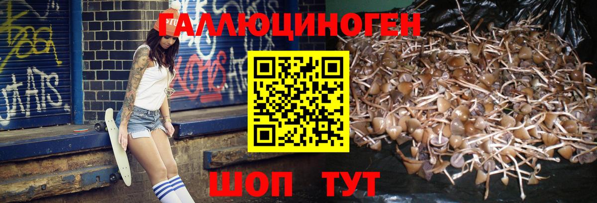 Беслан  Псилоцибиновые грибы Psilocybine cubensis  Вход с VPN  что такое   Галлюциногенные грибы MAGIC MUSHROOMS 